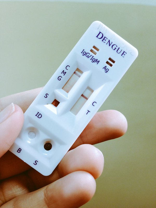 Procura crescente por testes de dengue em Petrolina acende alerta