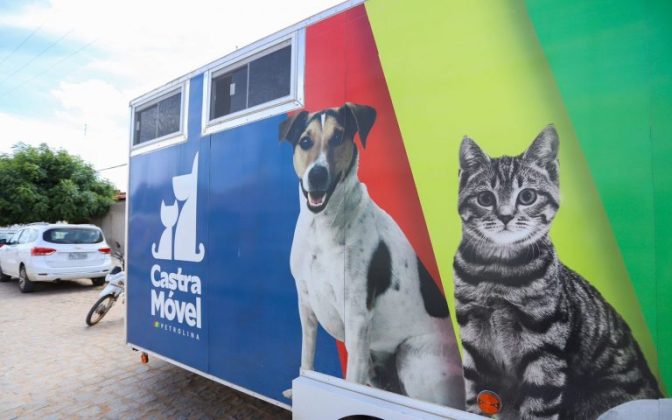 Bora Petrolina: 8° edição do programa leva ações do CCZ para o N5