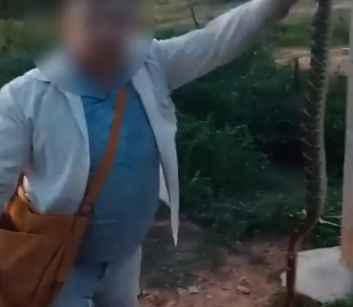 Homem mata cobra cascavel a mordidas no interior da Paraíba