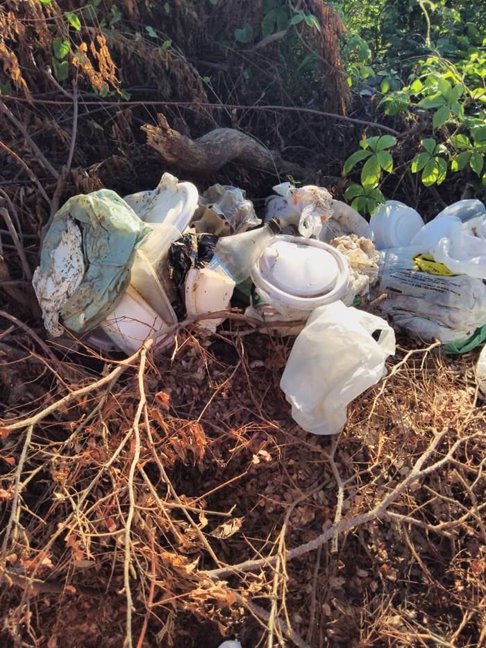 Residentes da Cidade Universitária, em Petrolina, reclamam de lixo e entulhos