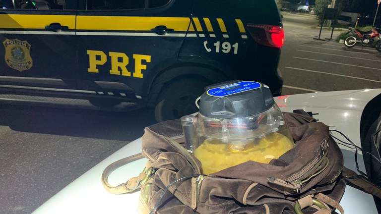 Ucranianas são presas ao tentarem sair da Bahia com ovos de Arara-azul-de-lear