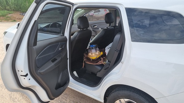 Ucranianas são presas por tráfico de ovos de araras-azuis-de-lear, ave em extinção retirada na Bahia — Blog Edenevaldo Alves