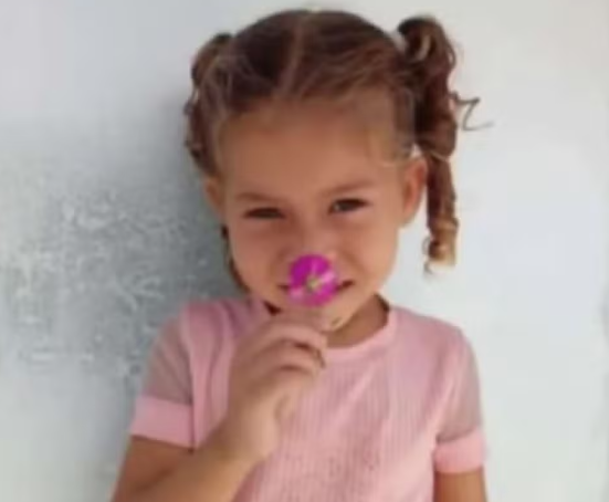 Estudante de 5 anos morre após cair de van escolar em movimento no interior da Bahia — Blog Edenevaldo Alves