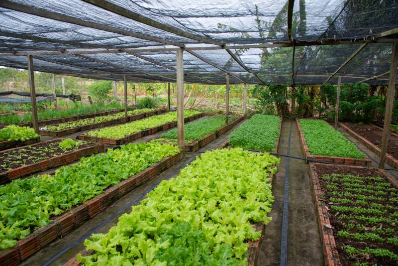 Prazo para inscrições na Garantia-Safra vai até 20 de março