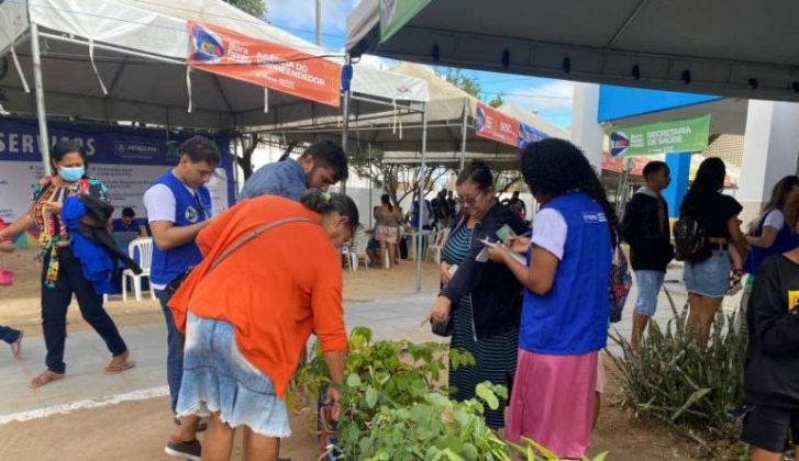 Prefeitura organiza distribuição de mudas de árvores nesse sábado (16) em Petrolina (PE)