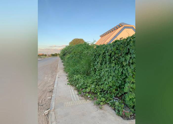 Leitor reclama do mato ao redor do CAIC em Juazeiro; prefeitura responde