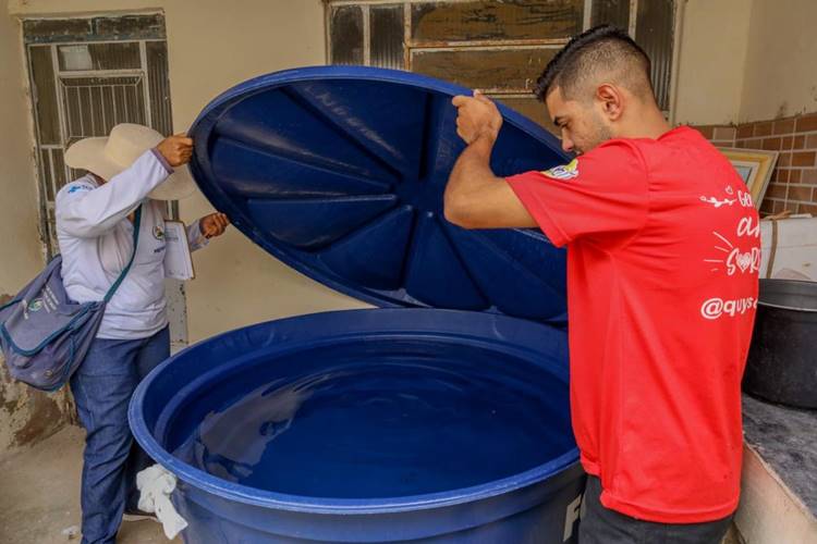 WhatsApp é disponibilizado para denunciar focos do Aedes em Petrolina