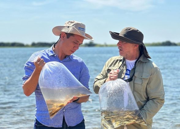 Rio São Francisco recebe 150 mil alevinos em comemoração ao Dia Mundial da Água