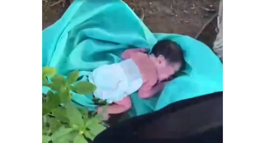 Recém-nascido é abandonado nas margens da BR-104 em Taquaritinga do Norte, no Agreste de Pernambuco — Blog Edenevaldo Alves