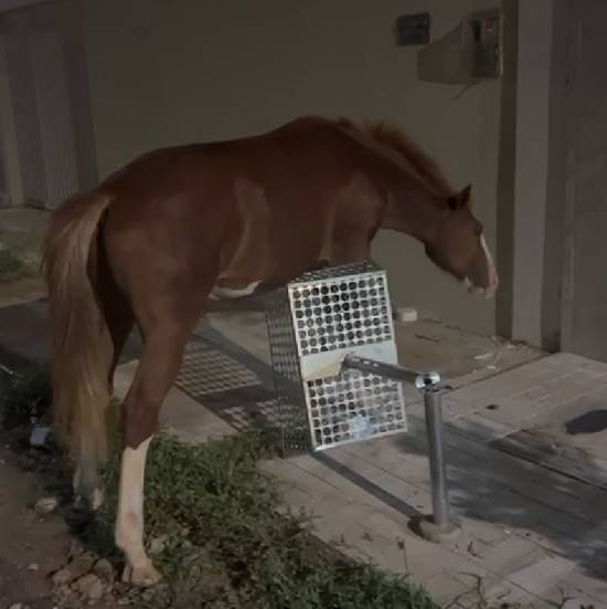 Problemas recorrentes no Loteamento Park Petrolina revoltam moradores