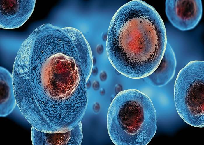 Cientistas estão otimistas com programa de IA capaz de aprender biologia de forma autônoma