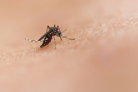 mais de 40% das cidades baianas estão em epidemia; Juazeiro (BA) na lista — Blog Edenevaldo Alves