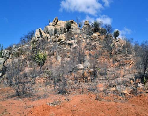 Alepe cria comissão especial após estudo feito pelo TCE-PE sobre desertificação