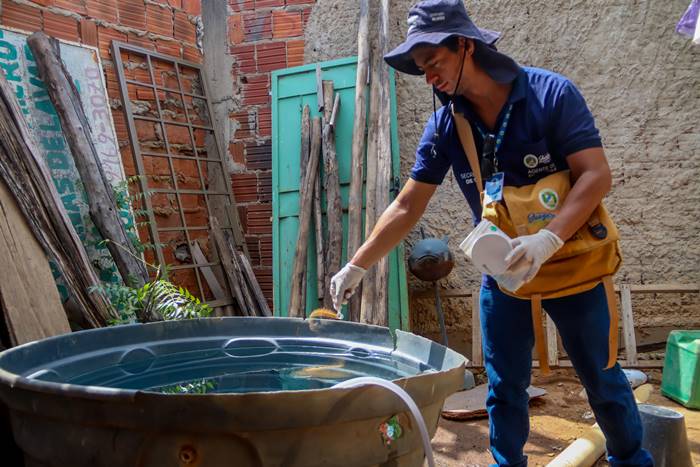 Juazeiro: ‘Dengue Zap’ tem mais de 250 denúncias sobre possíveis focos do Aedes