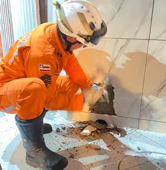 Bombeiros de Juazeiro retiram filhote de gato preso em encanação