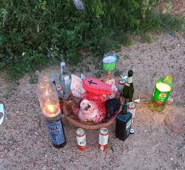 Ritual de macumba assusta moradores no N-8