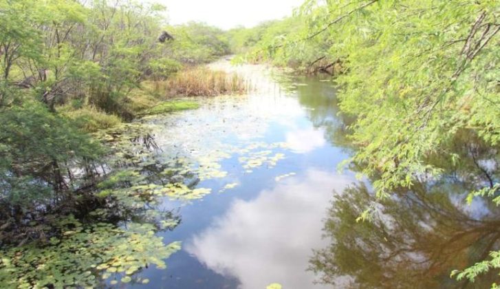 Após nova reunião, veja ações emergenciais para resolver problema do Riacho Vitória em Petrolina (PE)