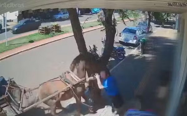 Vereador é mordido por burro em calçada, “dor muito grande” — Blog Edenevaldo Alves