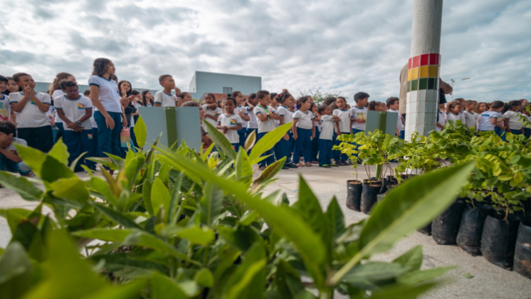 Prefeitura lança o Projeto Escola Amiga da Árvore em escolas de Petrolina