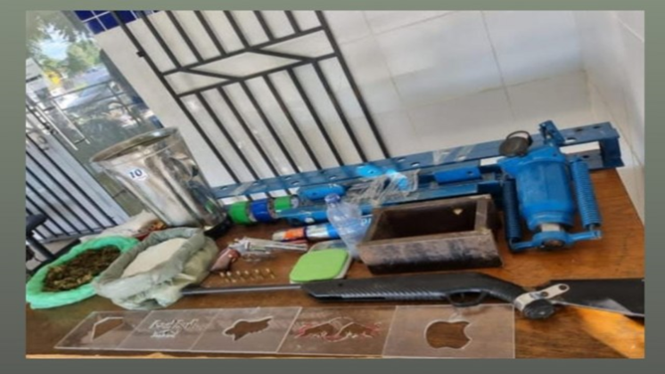 Operação policial em Terra Nova resulta em prisão e apreensão de drogas e armas