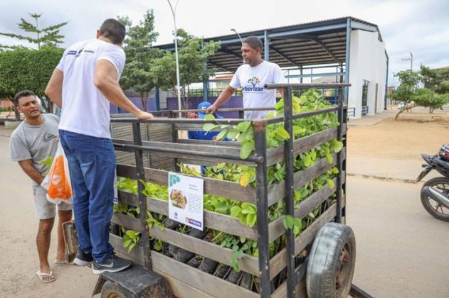 AMMA suspende ação do ‘Carro da Planta’ no Antonio Cassimiro