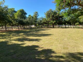 Parque Municipal Josepha Coelho ganha nova área de lazer