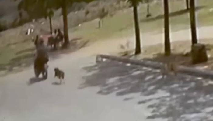 Homens simulam estar armados e roubam celular no bairro São Gonçalo