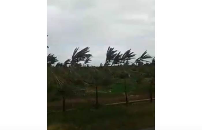 Vendaval deve atingir 71 cidades de PE; veja as orientações do Inmet