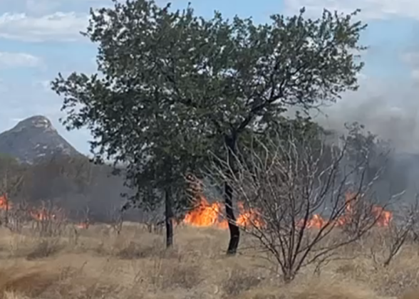Incêndio em vegetação no Povoado do Muquém é controlado pelo Corpo de Bombeiros em Petrolina