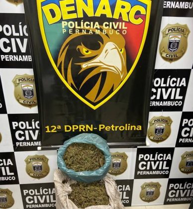 PCPE apreende em Petrolina quase 10 kg de maconha
