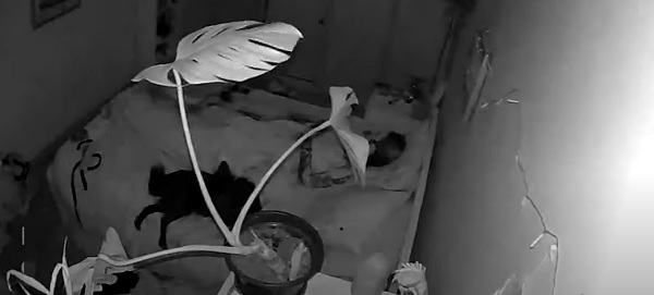 Terremoto de magnitude 5,3 atinge Lisboa em Portugal durante madrugada 