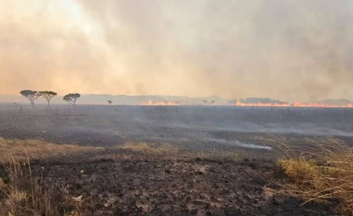 Incêndios destroem 10 mil hectares na Chapada dos Veadeiros e 3 suspeitos são presos