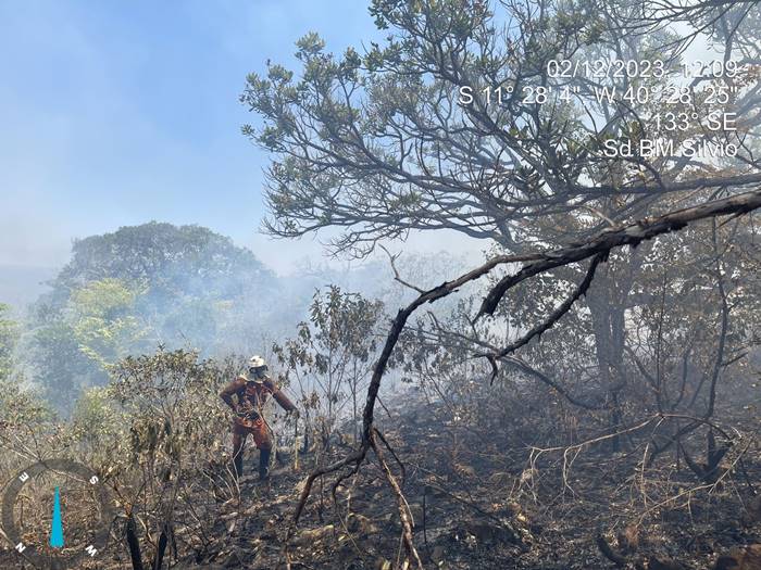 Governo da BA suspende queima controlada em 178 municípios para prevenir incêndios