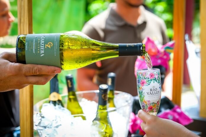 Enoturismo nas férias: Villa Garziera, em Lagoa Grande (PE), aposta em experiências divertidas para visitantes