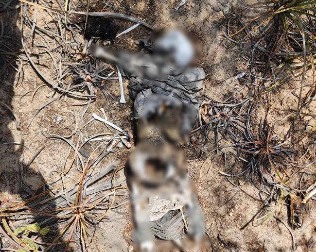 Ossada humana é encontrada na Zona Rural de Casa Nova