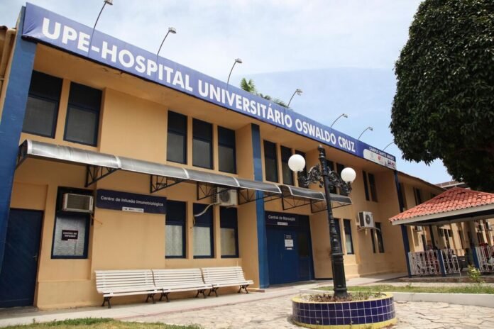 Morre mulher que contraiu raiva humana após ser mordida por sagui em Pernambuco