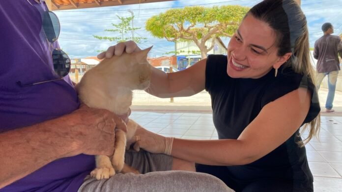 Prefeitura avalia animais para castração no residencial Vivendas em Petrolina (PE)