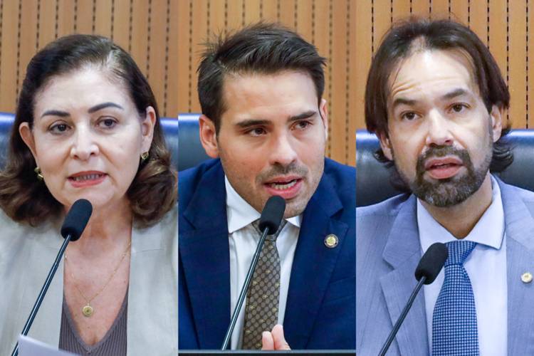 Mais 3 comissões da Alepe definem presidente e vice