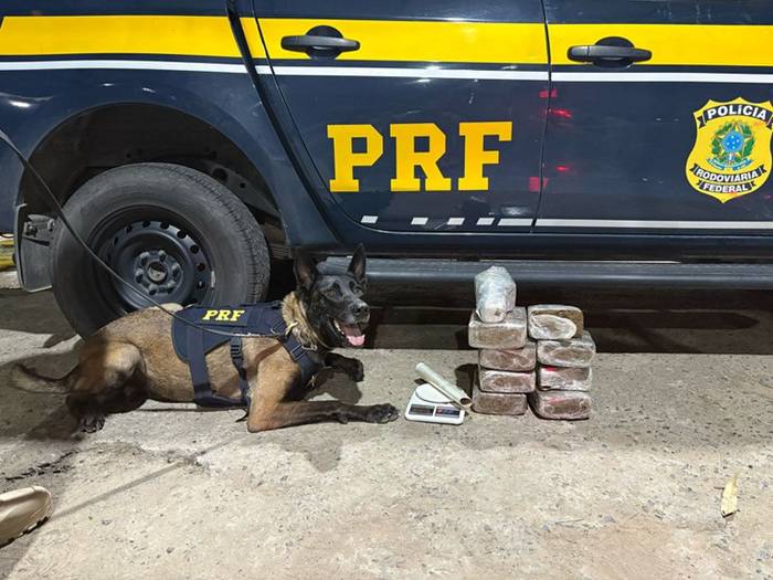 PRF apreende drogas em ônibus de turismo no Interior da BA