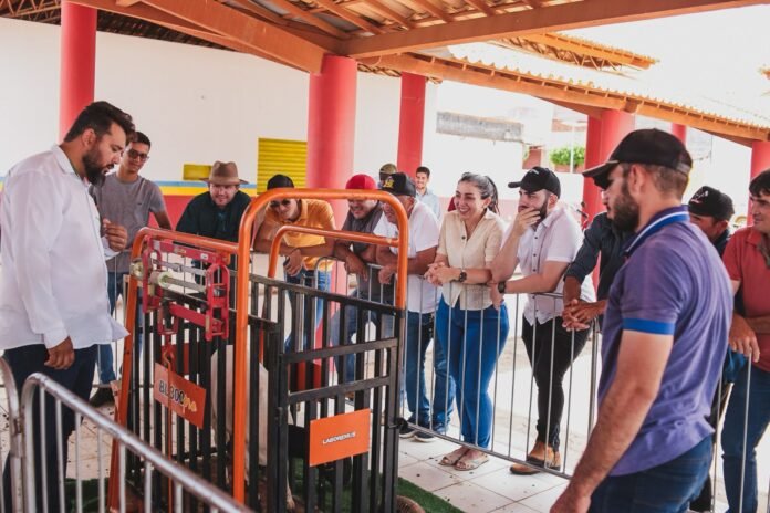 Com mais de 100 animais na disputa, Campeonato Cordeiro de Peso de Dormentes (PE) supera todas as expectativas