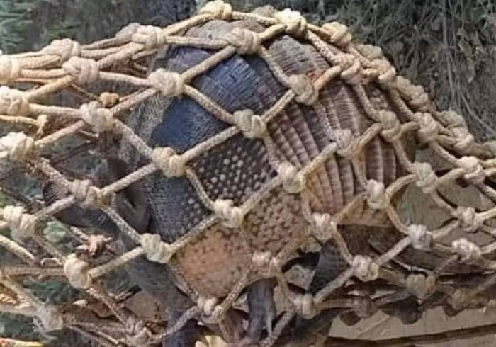 Curaçá: Torneio ilegal de caça de animais silvestres é desarticulado pela polícia