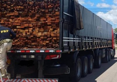 Ação da PRF-PE reforça combate a crimes ambientais no Sertão