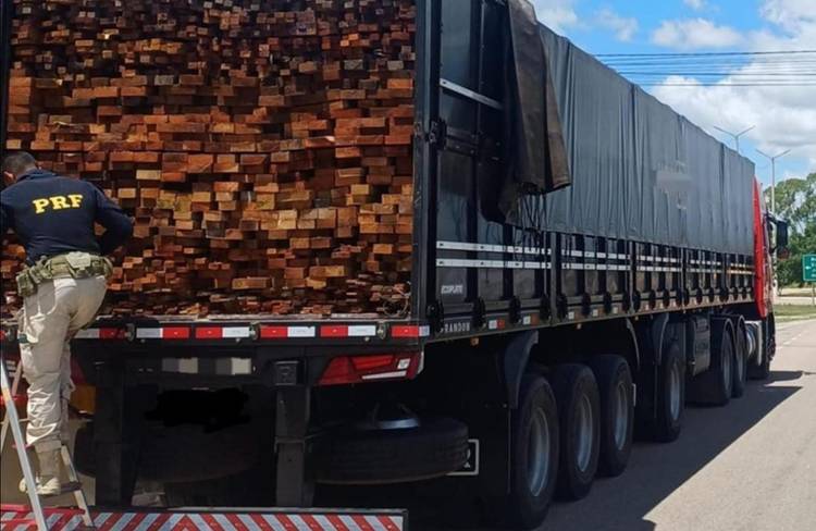 Ação da PRF-PE reforça combate a crimes ambientais no Sertão