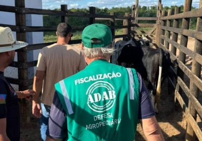 Adab intensifica fiscalização em feiras de animais no Estado