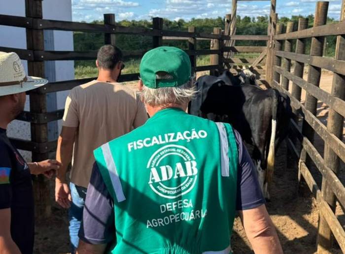 Adab intensifica fiscalização em feiras de animais no Estado