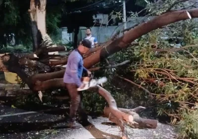 Chuvas causam diversas ocorrências em Juazeiro (BA)