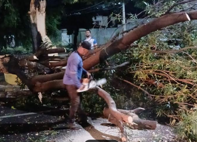 Chuvas causam diversos incidentes em Juazeiro (BA)