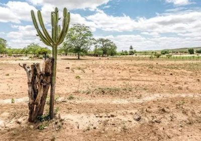 Oficina estadual sobre estratégias contra mudanças climáticas será sediada em Ouricuri Oficina estadual sobre estratégias contra mudanças climáticas será sediada em Ouricuri