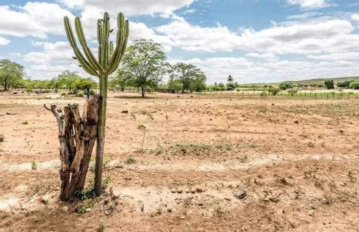 Oficina estadual sobre estratégias contra mudanças climáticas será sediada em Ouricuri