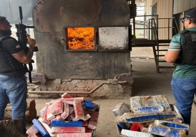 Operação NEXUS: Polícia Civil de Juazeiro incinera quase 2 toneladas de maconha